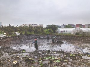 铁门关河道鱼塘清淤